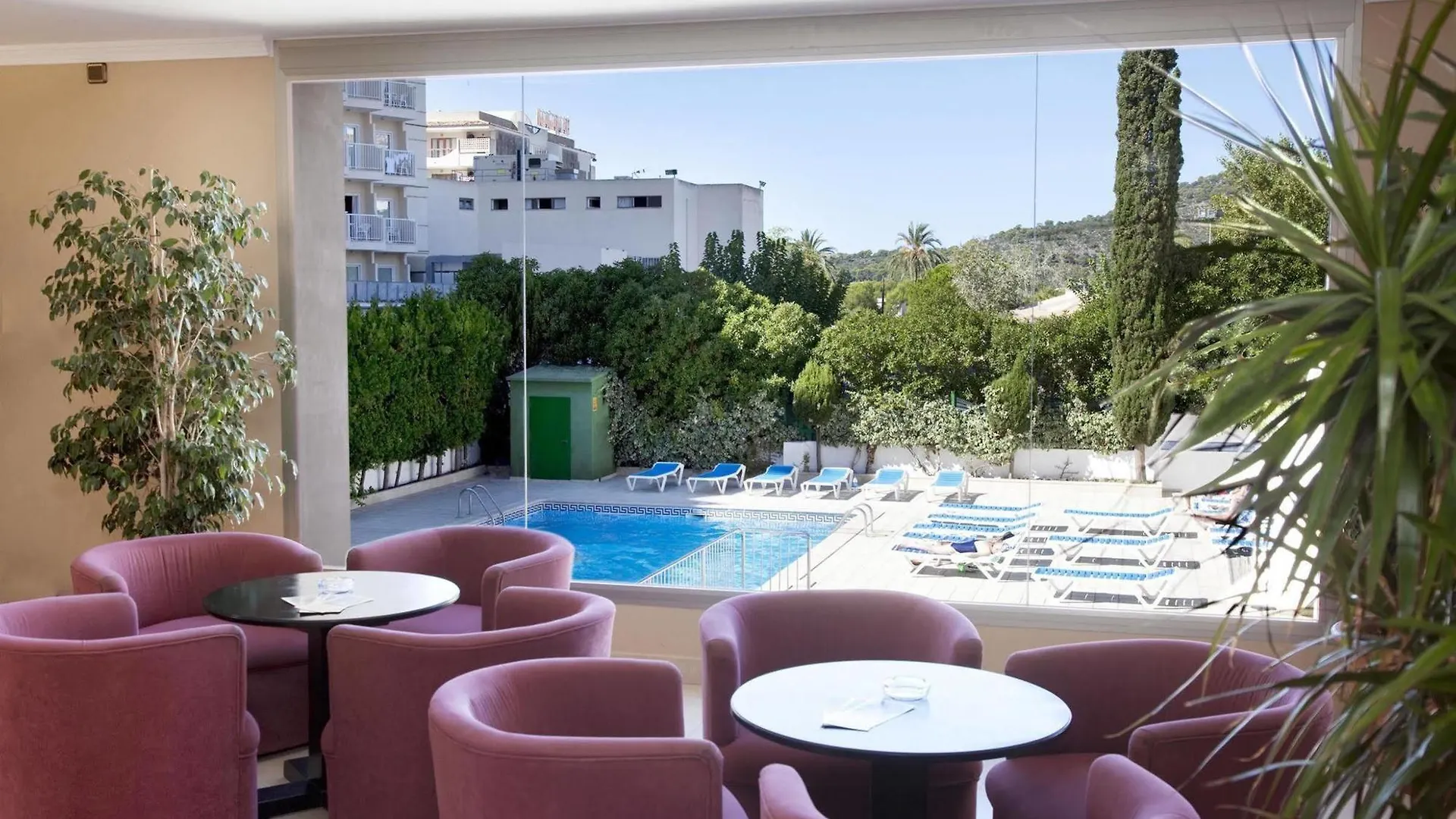Apartamentos Sol Y Vera Magaluf  Spanien